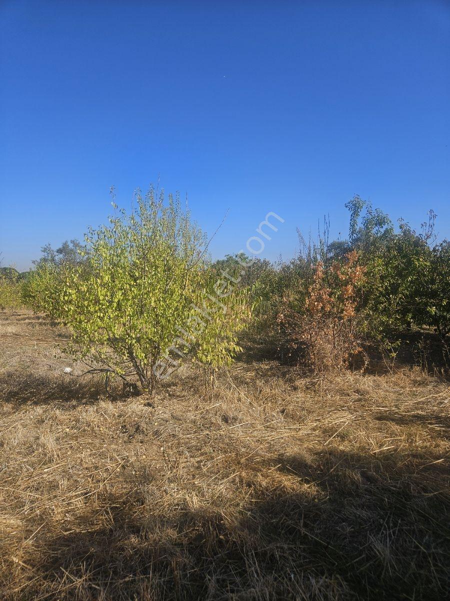 Bağyurdunda Tek Tapulu Satılık Tarla — fotoğraf 28