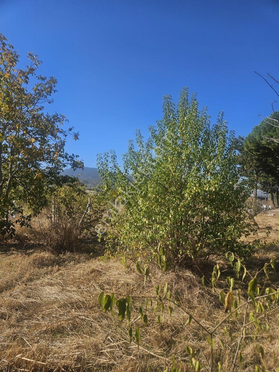 Bağyurdunda Tek Tapulu Satılık Tarla — fotoğraf 31