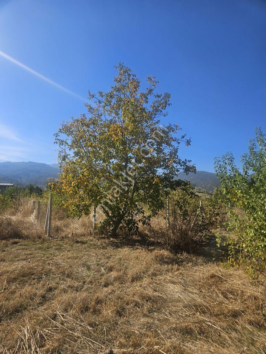 Bağyurdunda Tek Tapulu Satılık Tarla — fotoğraf 32