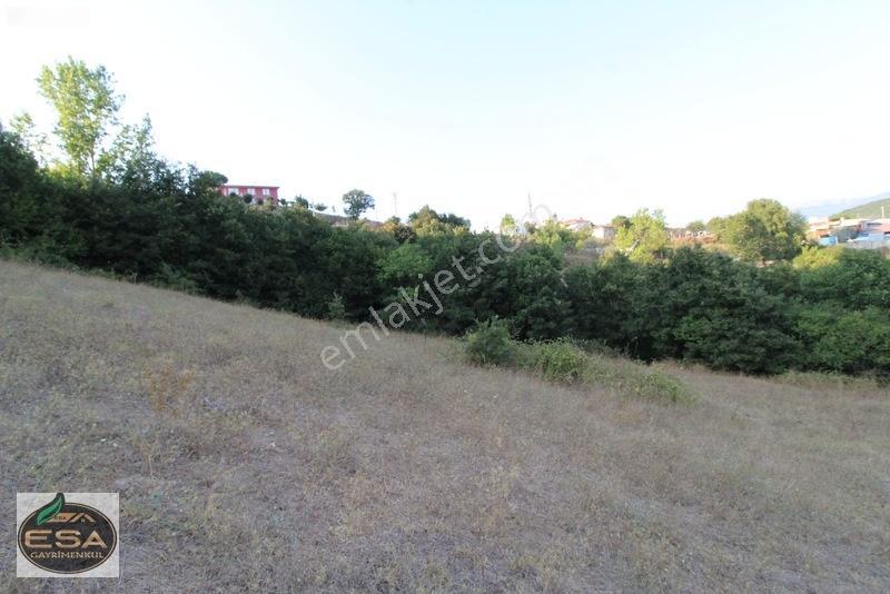 Taşkesiği Köy Girişinde Anayola Cepheli Orman Manzaralı 2263 M2