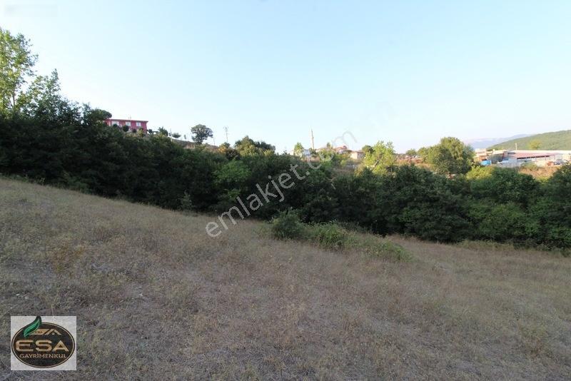 Taşkesiği Köy Girişinde Anayola Cepheli Orman Manzaralı 2263 M2 — fotoğraf 2