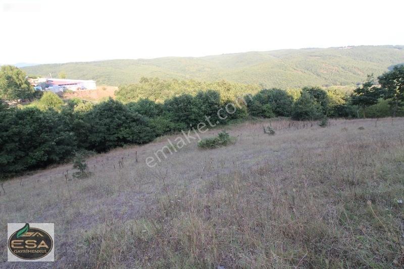 Taşkesiği Köy Girişinde Anayola Cepheli Orman Manzaralı 2263 M2 — fotoğraf 3