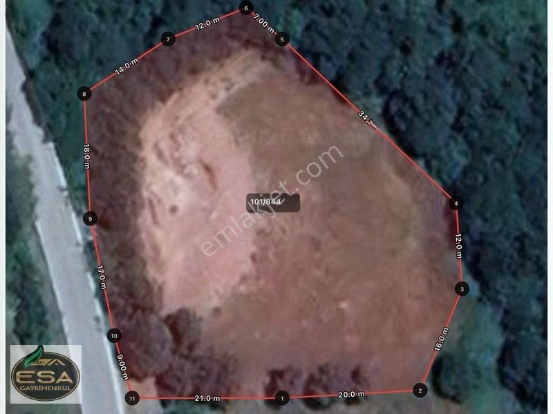 Taşkesiği Köy Girişinde Anayola Cepheli Orman Manzaralı 2263 M2 — fotoğraf 4