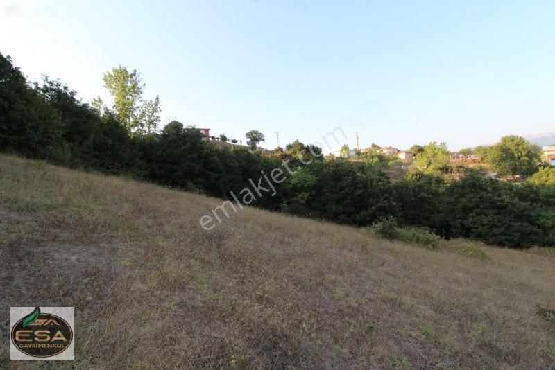 Taşkesiği Köy Girişinde Anayola Cepheli Orman Manzaralı 2263 M2 — fotoğraf 6
