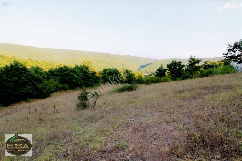 Taşkesiği Köy Girişinde Anayola Cepheli Orman Manzaralı 2263 M2 — fotoğraf 7