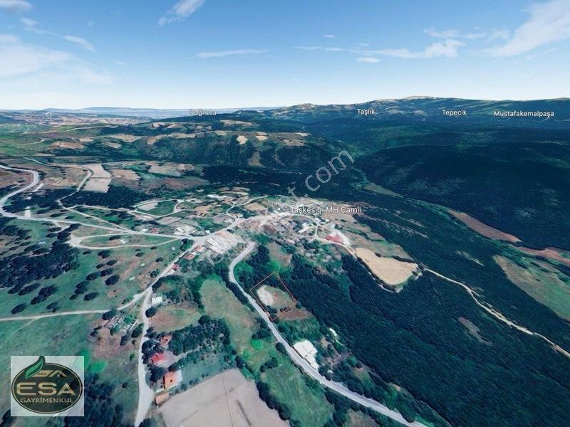 Taşkesiği Köy Girişinde Anayola Cepheli Orman Manzaralı 2263 M2 — fotoğraf 8