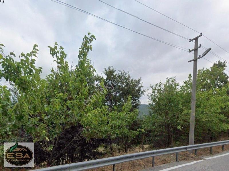 Taşkesiği Köy Girişinde Anayola Cepheli Orman Manzaralı 2263 M2 — fotoğraf 9