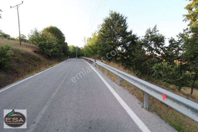 Taşkesiği Köy Girişinde Anayola Cepheli Orman Manzaralı 2263 M2 — fotoğraf 10