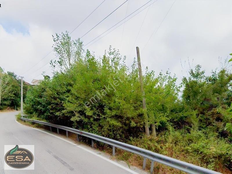 Taşkesiği Köy Girişinde Anayola Cepheli Orman Manzaralı 2263 M2 — fotoğraf 11