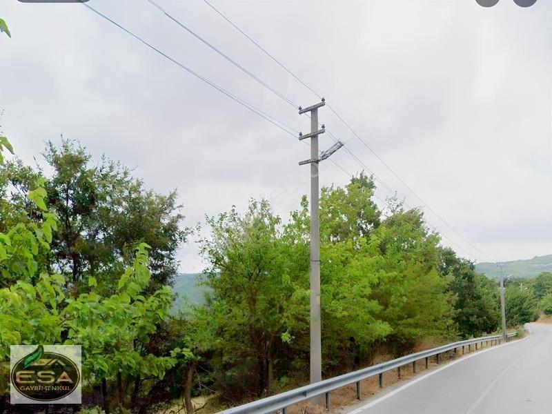 Taşkesiği Köy Girişinde Anayola Cepheli Orman Manzaralı 2263 M2 — fotoğraf 12
