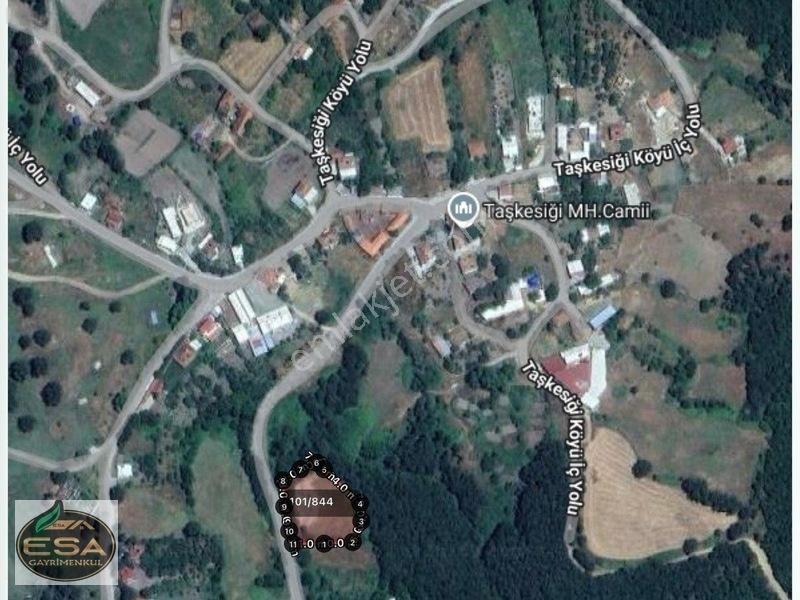 Taşkesiği Köy Girişinde Anayola Cepheli Orman Manzaralı 2263 M2 — fotoğraf 13