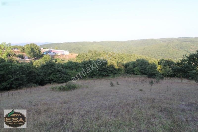 Taşkesiği Köy Girişinde Anayola Cepheli Orman Manzaralı 2263 M2 — fotoğraf 14