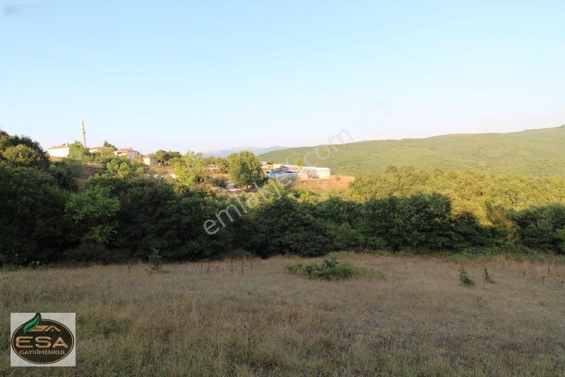 Taşkesiği Köy Girişinde Anayola Cepheli Orman Manzaralı 2263 M2 — fotoğraf 15