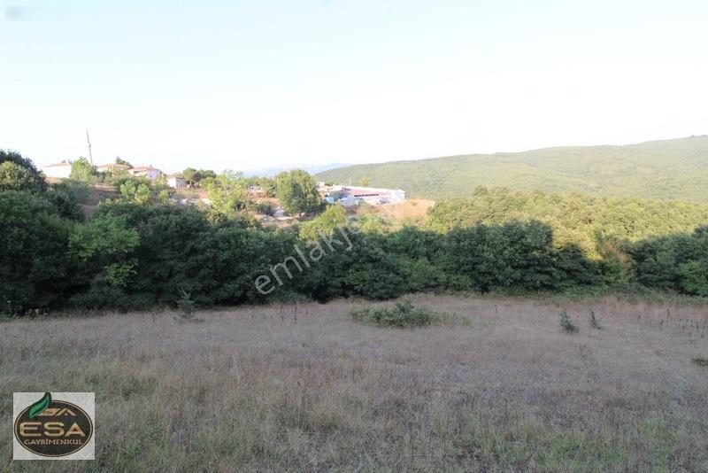 Taşkesiği Köy Girişinde Anayola Cepheli Orman Manzaralı 2263 M2 — fotoğraf 16