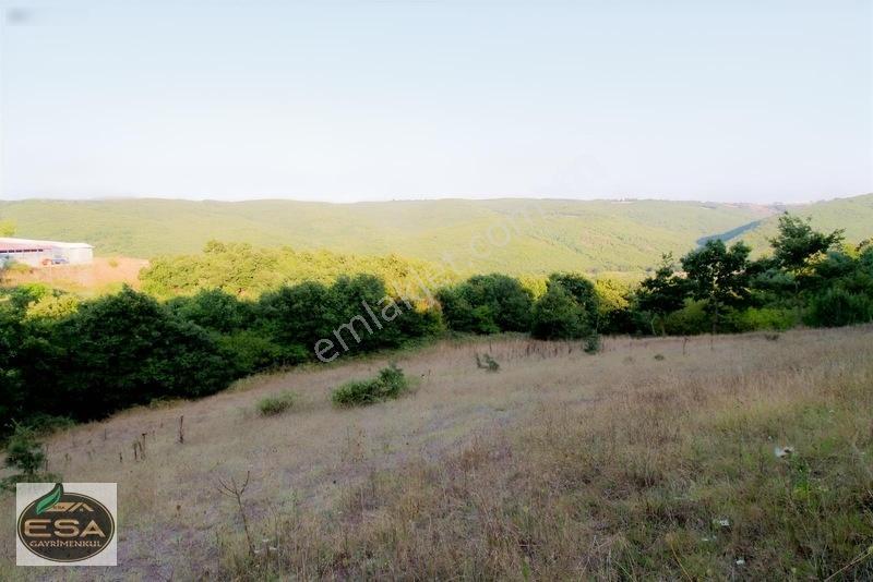 Taşkesiği Köy Girişinde Anayola Cepheli Orman Manzaralı 2263 M2 — fotoğraf 17