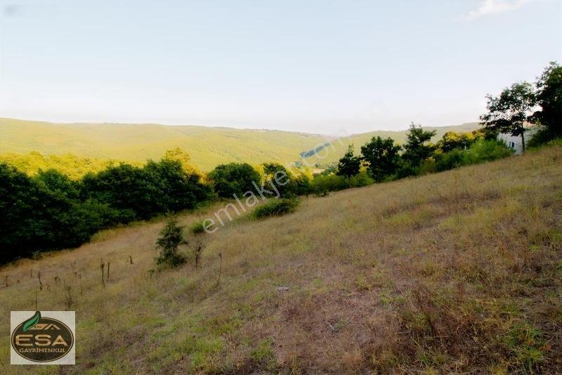 Taşkesiği Köy Girişinde Anayola Cepheli Orman Manzaralı 2263 M2 — fotoğraf 18