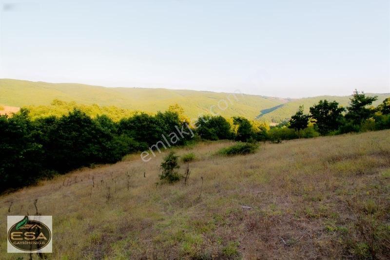 Taşkesiği Köy Girişinde Anayola Cepheli Orman Manzaralı 2263 M2 — fotoğraf 19