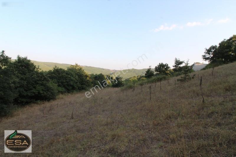 Taşkesiği Köy Girişinde Anayola Cepheli Orman Manzaralı 2263 M2 — fotoğraf 20