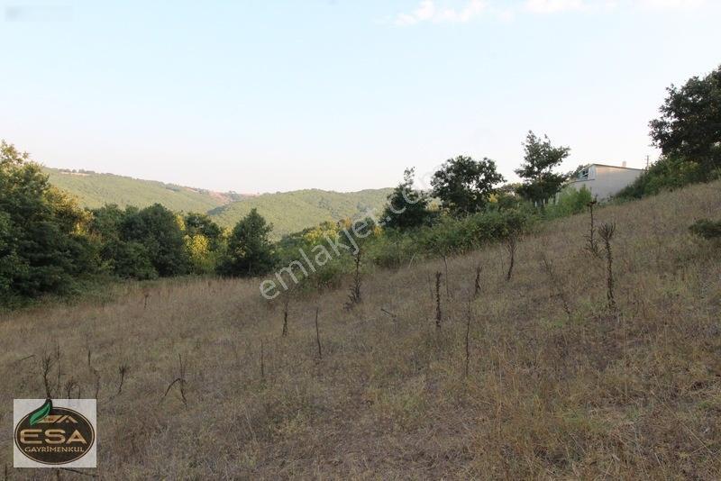Taşkesiği Köy Girişinde Anayola Cepheli Orman Manzaralı 2263 M2 — fotoğraf 21