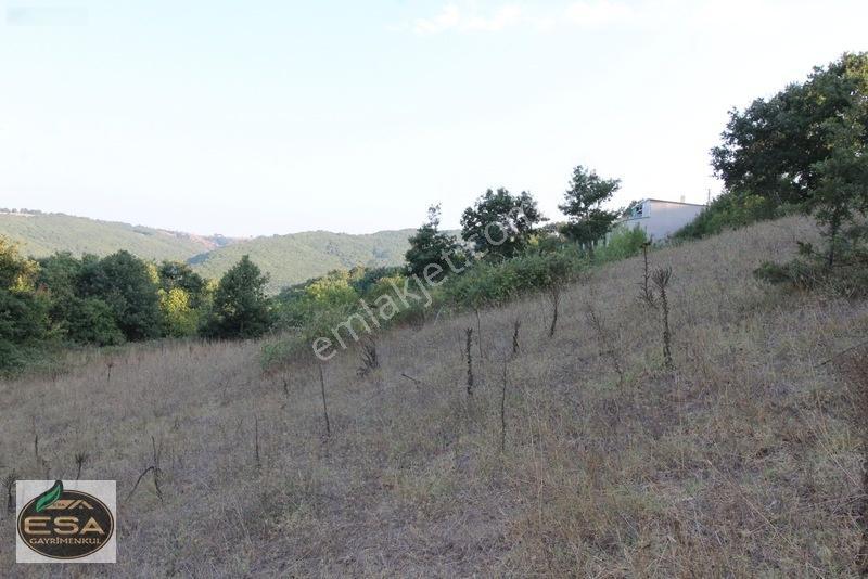 Taşkesiği Köy Girişinde Anayola Cepheli Orman Manzaralı 2263 M2 — fotoğraf 22