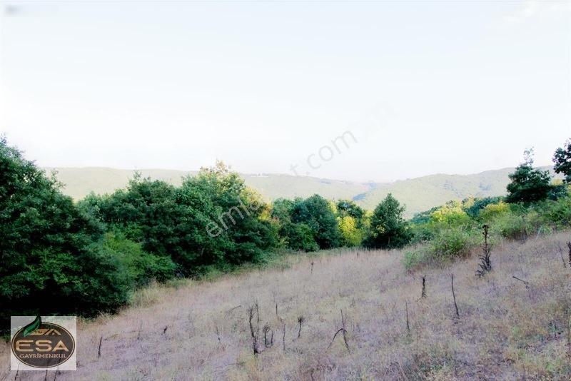Taşkesiği Köy Girişinde Anayola Cepheli Orman Manzaralı 2263 M2 — fotoğraf 23