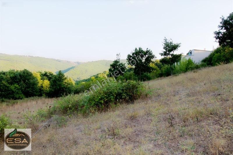 Taşkesiği Köy Girişinde Anayola Cepheli Orman Manzaralı 2263 M2 — fotoğraf 24