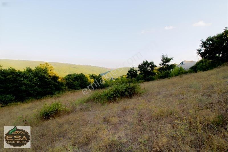 Taşkesiği Köy Girişinde Anayola Cepheli Orman Manzaralı 2263 M2 — fotoğraf 25