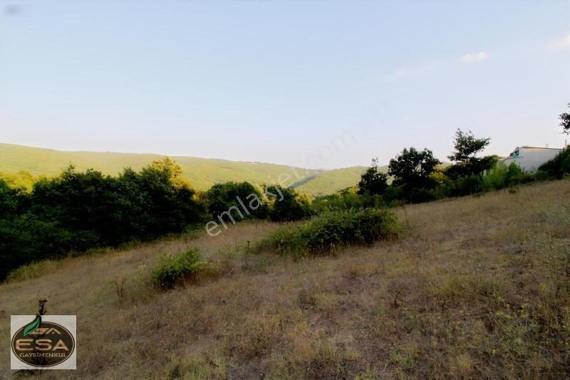 Taşkesiği Köy Girişinde Anayola Cepheli Orman Manzaralı 2263 M2 — fotoğraf 26