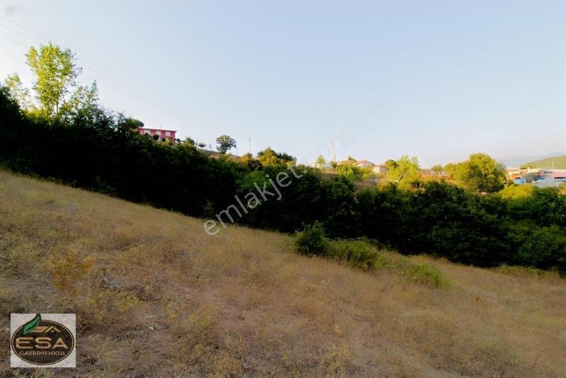 Taşkesiği Köy Girişinde Anayola Cepheli Orman Manzaralı 2263 M2 — fotoğraf 27