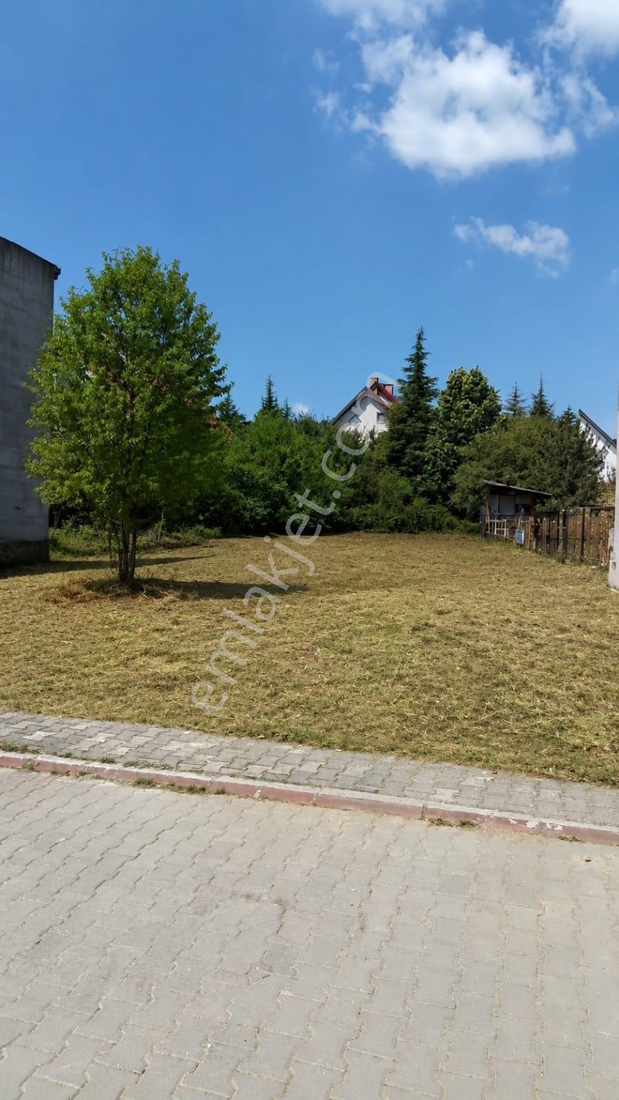 Bolu Dağkent Mahallesi Satılık Arsa — fotoğraf 3