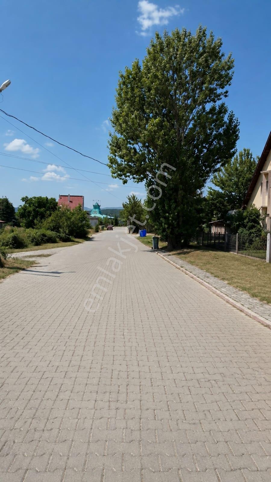 Bolu Dağkent Mahallesi Satılık Arsa — fotoğraf 5