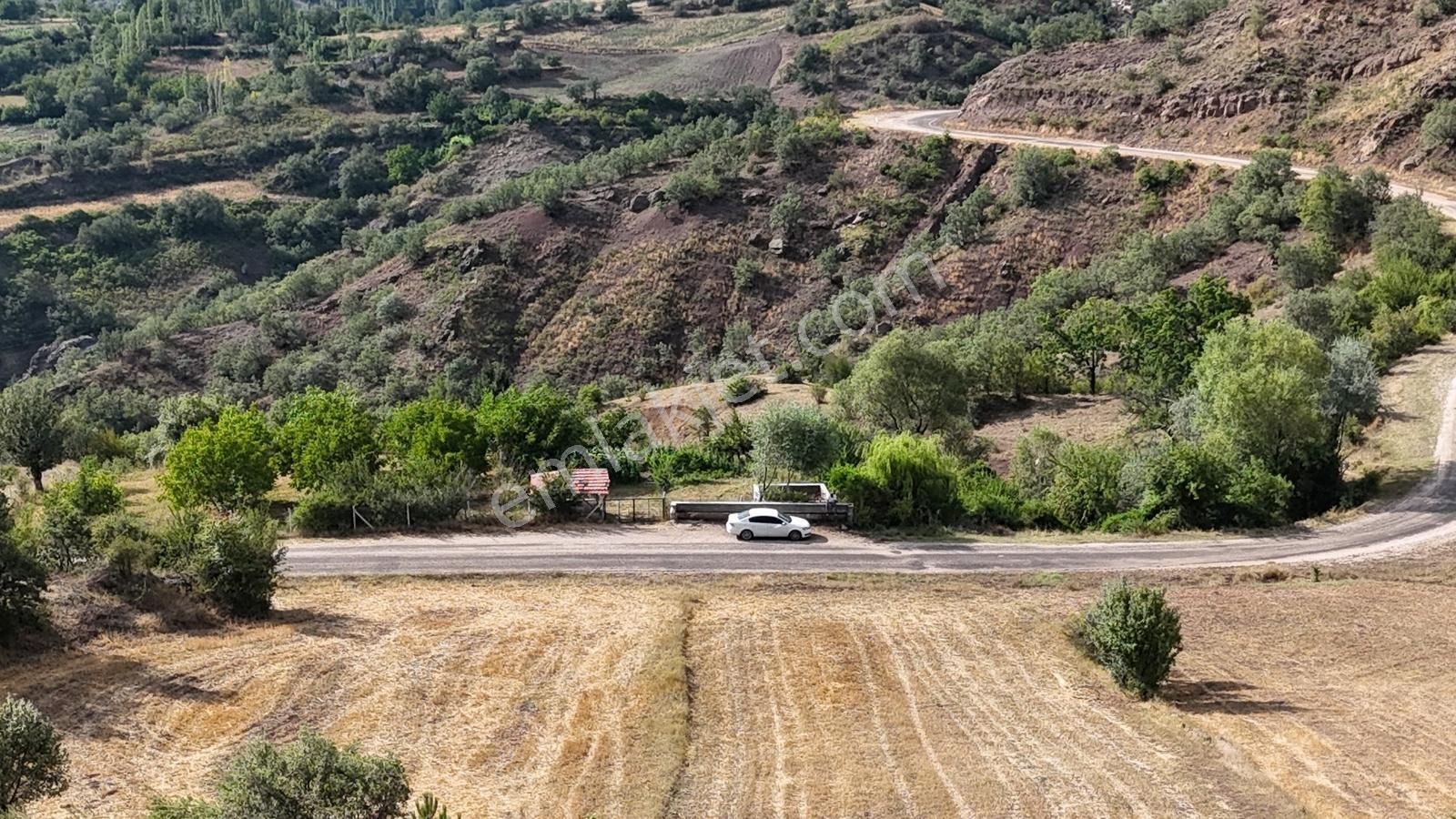 Amasya Hamamözünde Ana Yola Yakın 1574 M2 Tarla Tek Tapu