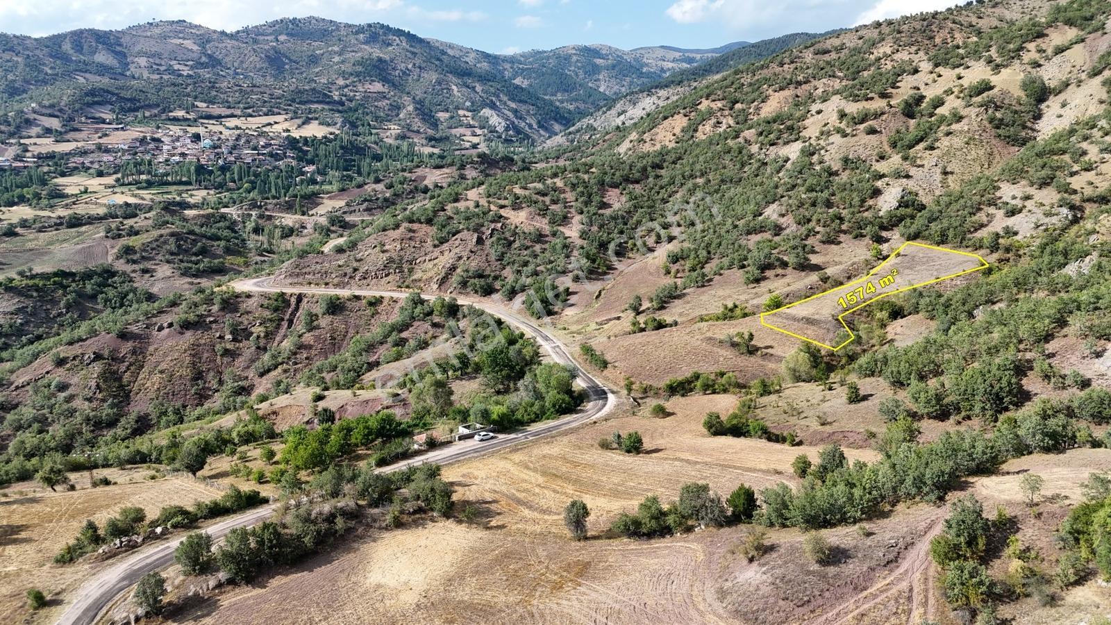 Amasya Hamamözünde Ana Yola Yakın 1574 M2 Tarla Tek Tapu — fotoğraf 2