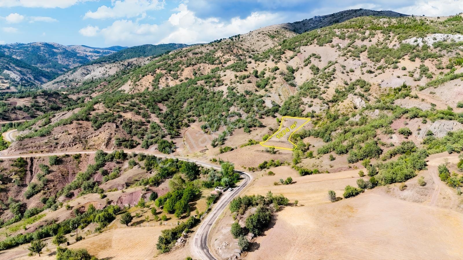 Amasya Hamamözünde Ana Yola Yakın 1574 M2 Tarla Tek Tapu — fotoğraf 3