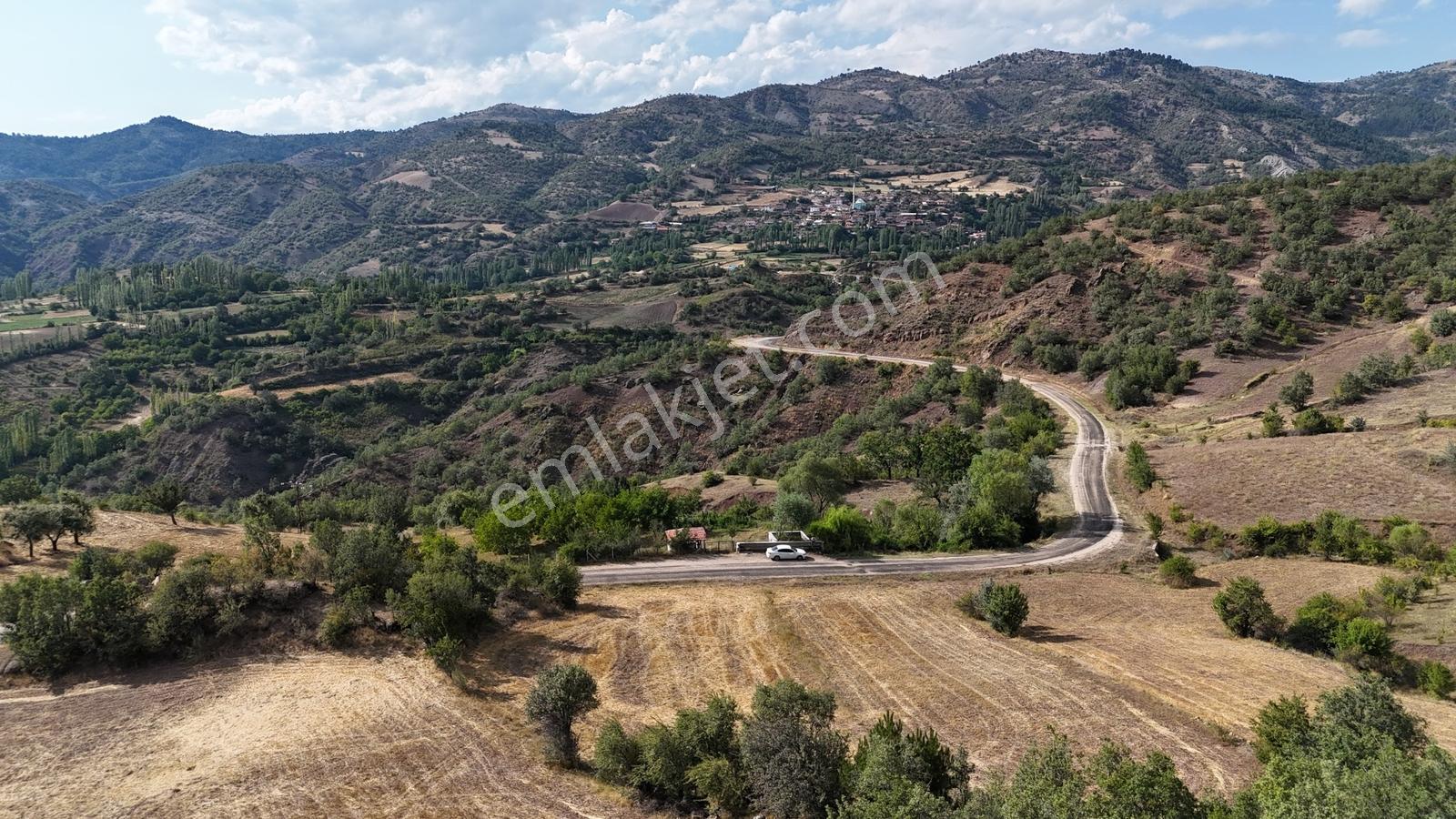 Amasya Hamamözünde Ana Yola Yakın 1574 M2 Tarla Tek Tapu — fotoğraf 4