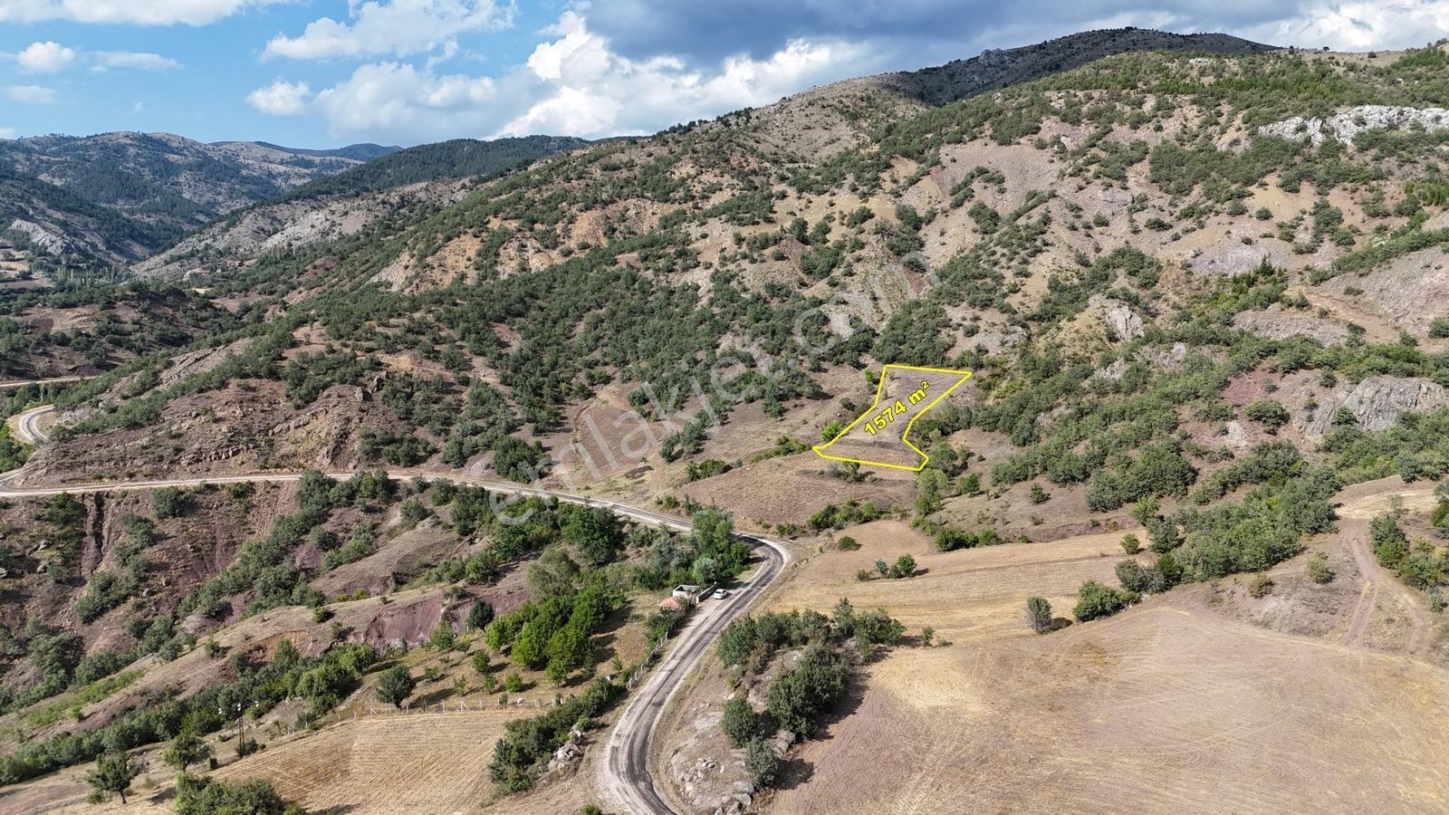 Amasya Hamamözünde Ana Yola Yakın 1574 M2 Tarla Tek Tapu — fotoğraf 5