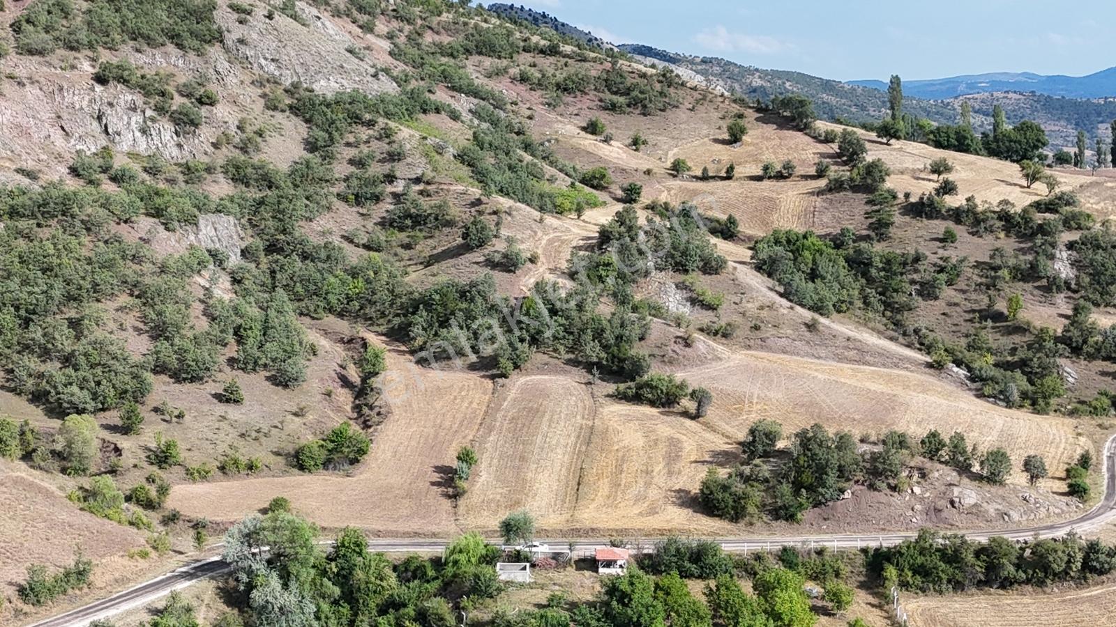 Amasya Hamamözünde Ana Yola Yakın 1574 M2 Tarla Tek Tapu — fotoğraf 6
