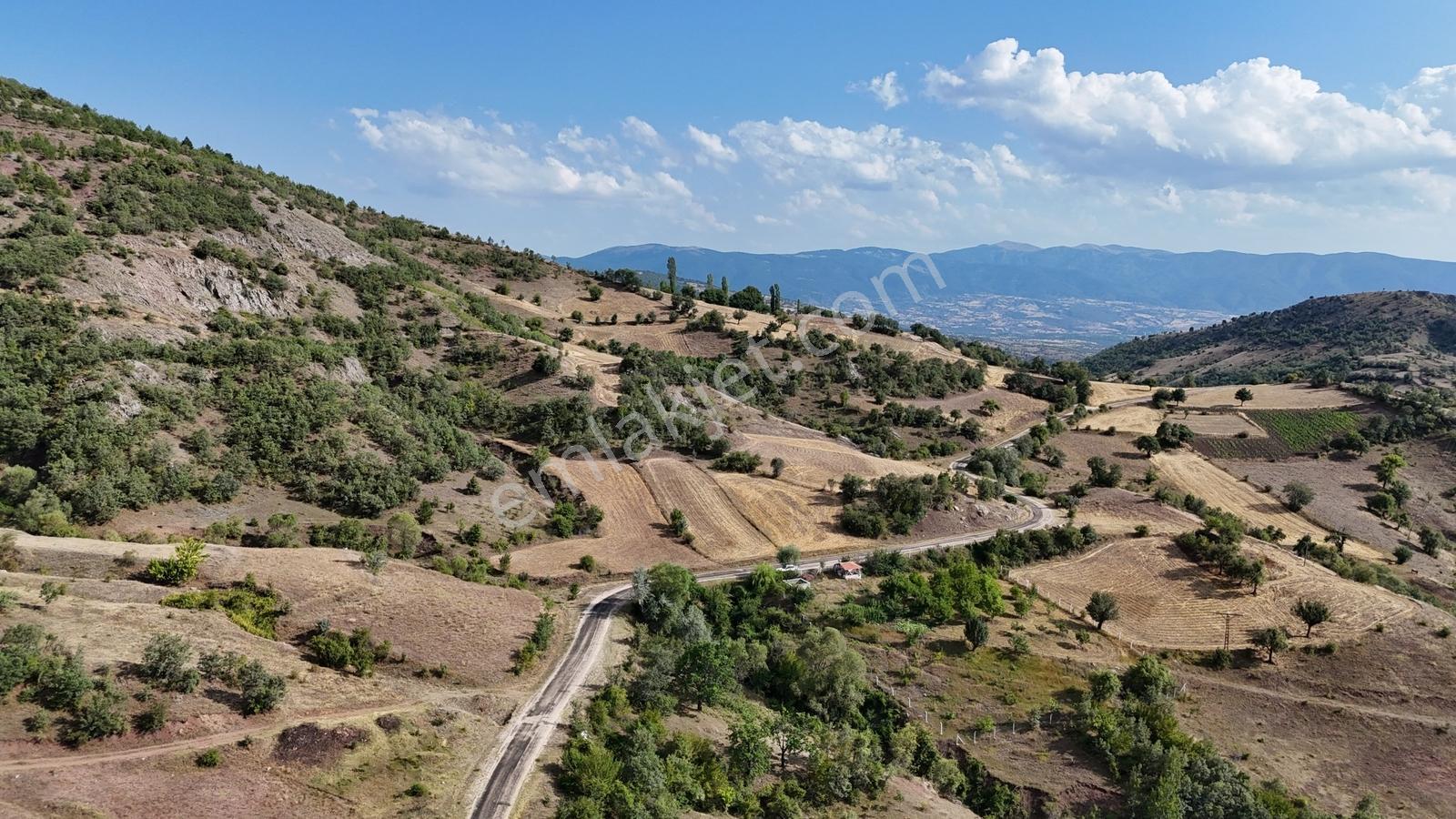 Amasya Hamamözünde Ana Yola Yakın 1574 M2 Tarla Tek Tapu — fotoğraf 7