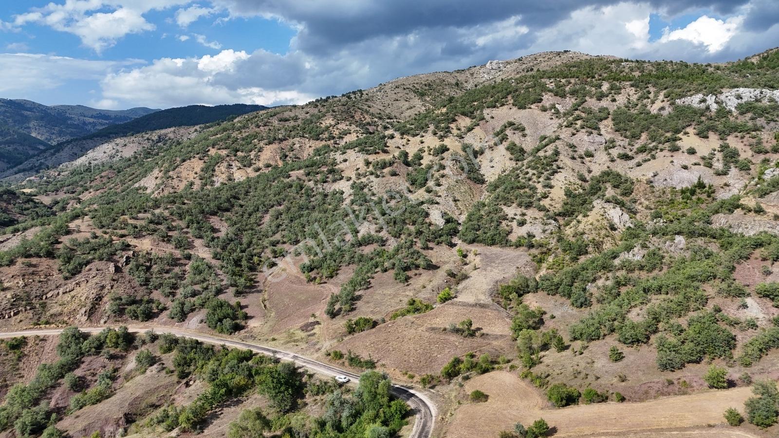 Amasya Hamamözünde Ana Yola Yakın 1574 M2 Tarla Tek Tapu — fotoğraf 9