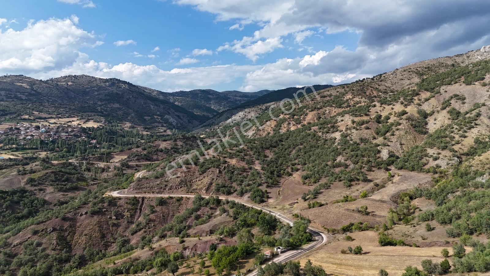 Amasya Hamamözünde Ana Yola Yakın 1574 M2 Tarla Tek Tapu — fotoğraf 10