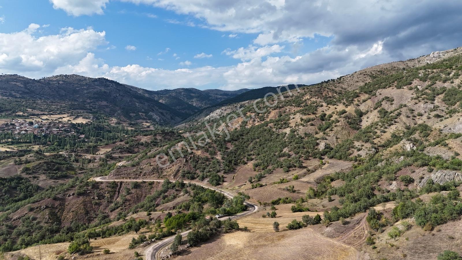 Amasya Hamamözünde Ana Yola Yakın 1574 M2 Tarla Tek Tapu — fotoğraf 11