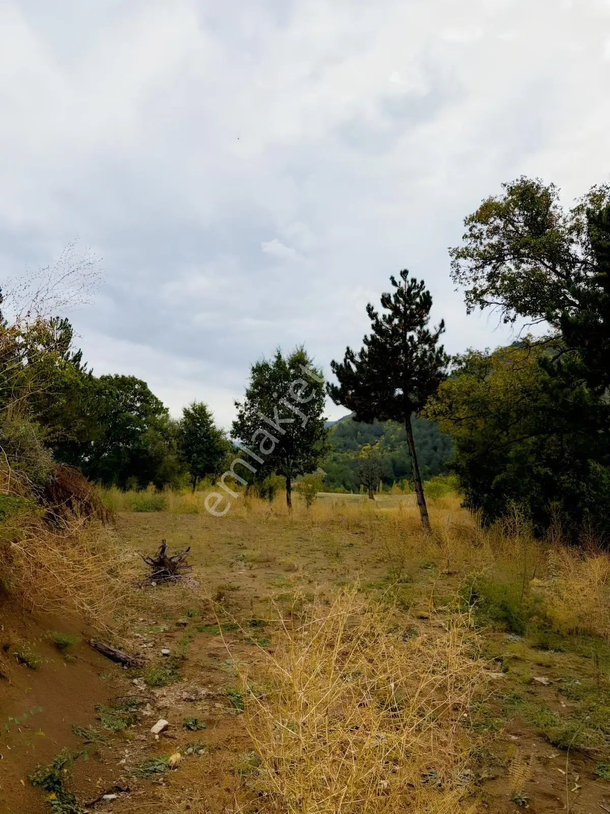 Satılık Bahçe 420m2 Tek Tapu — fotoğraf 4