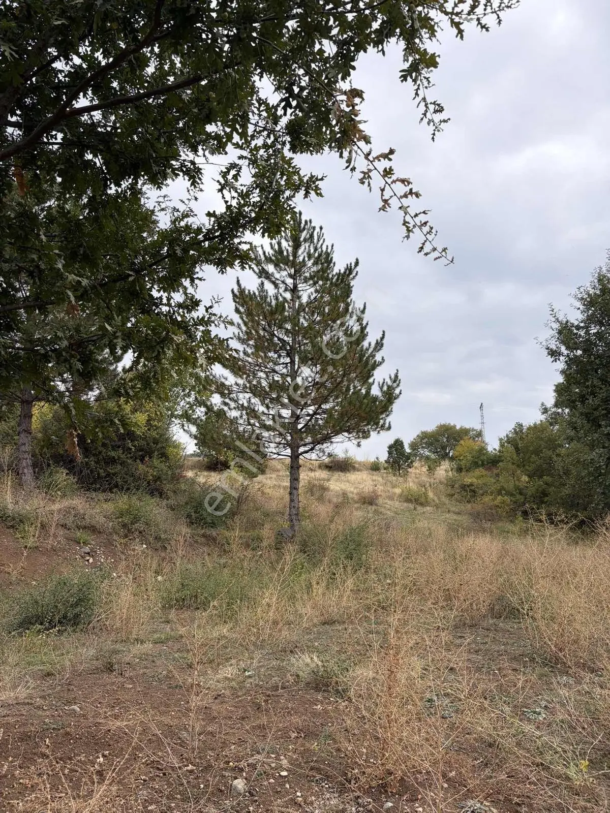 Satılık Bahçe 420m2 Tek Tapu — fotoğraf 5