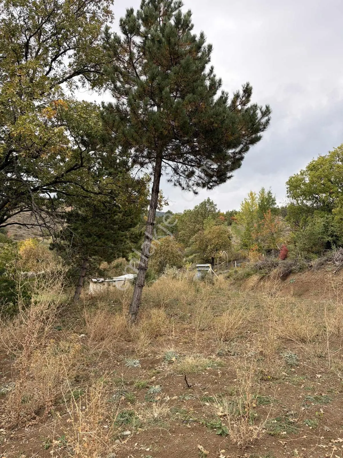 Satılık Bahçe 420m2 Tek Tapu — fotoğraf 6