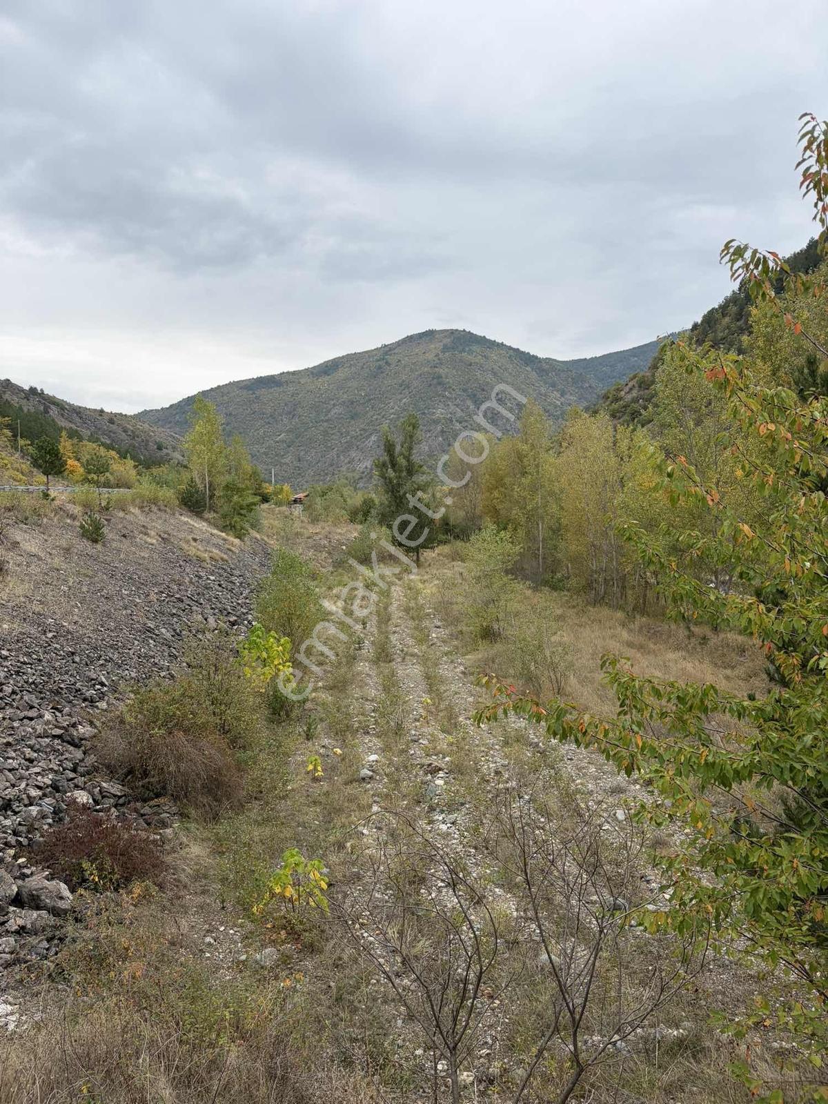 Satılık Tosya Yolu Kenarı Tek Tapu Bahçe — fotoğraf 4