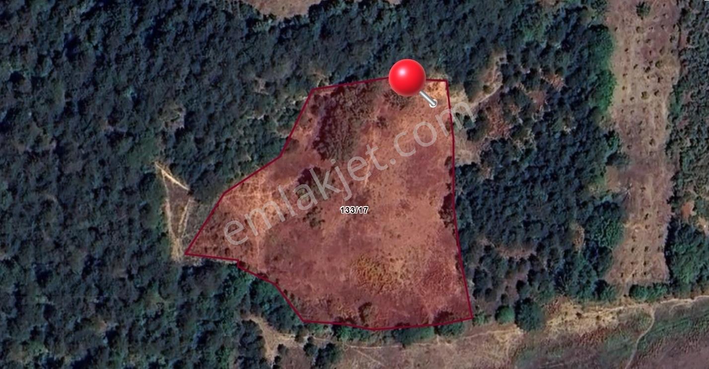 Geyve Suçatında 6.419 M² Muhteşem Orman Manzaralı Satılık Tarla
