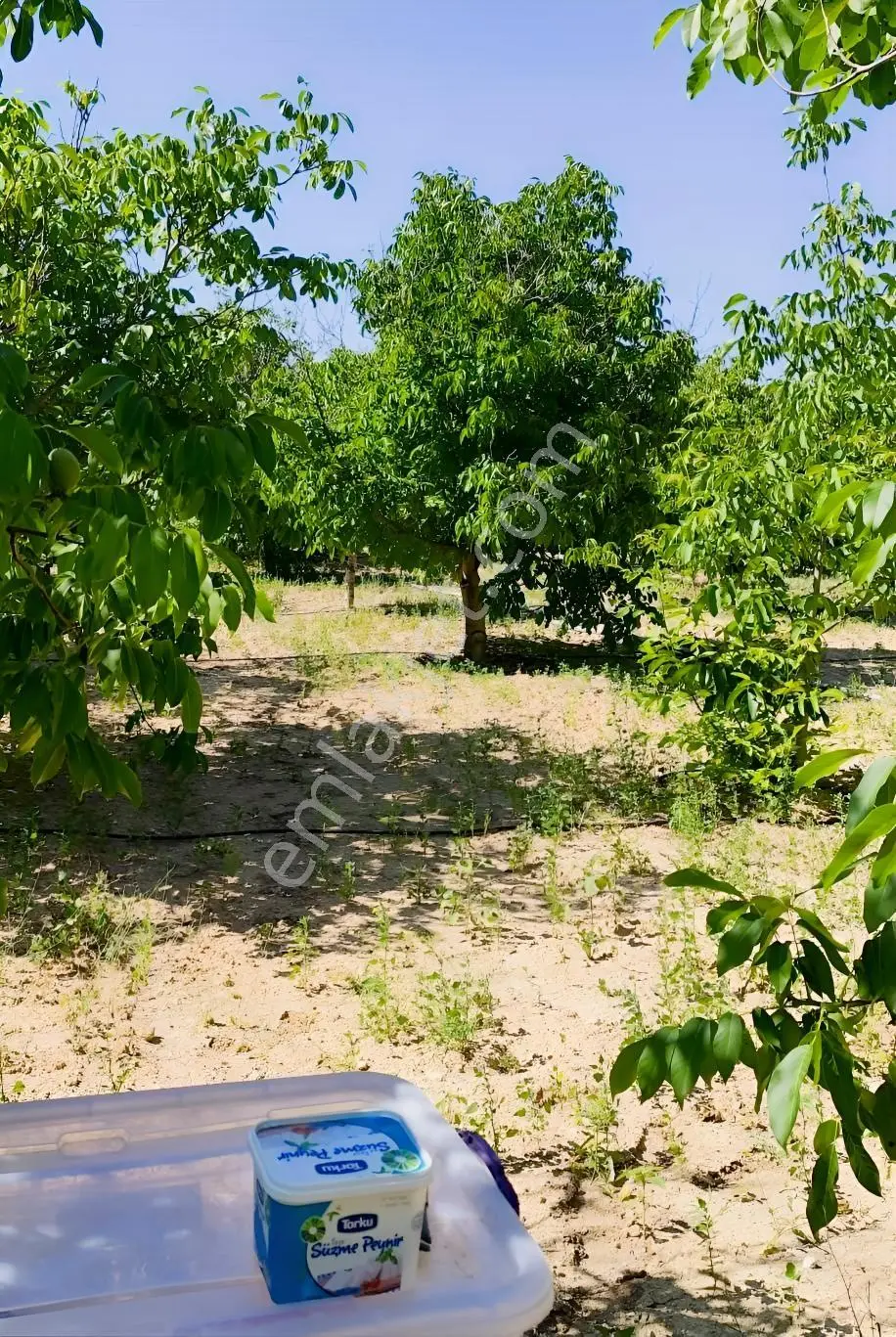 Satılık-yatırımlık Ceviz Bahçesikonya/beyşehir Yenidoğan Mah — fotoğraf 26