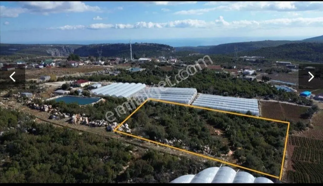 Aydın'Dan Erdemli Yeniyurt'Ta 4.500 M2 Fırsat Satılık Arsa
