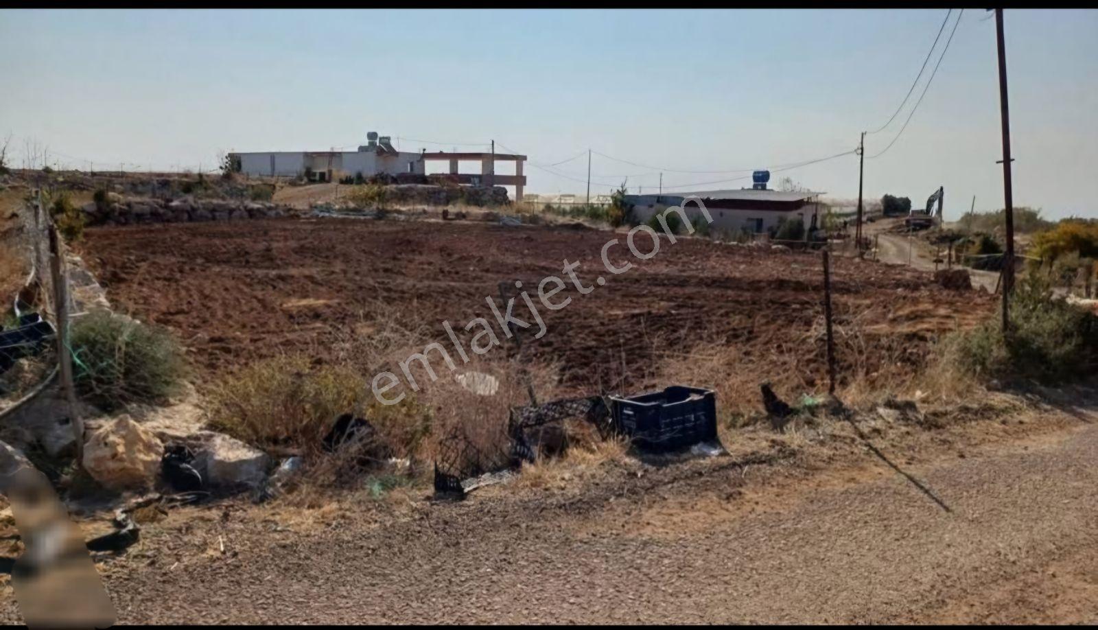 Aydın'dan Erdemli Yeniyurt'ta 4.500 M2 Fırsat Satılık Arsa — fotoğraf 2