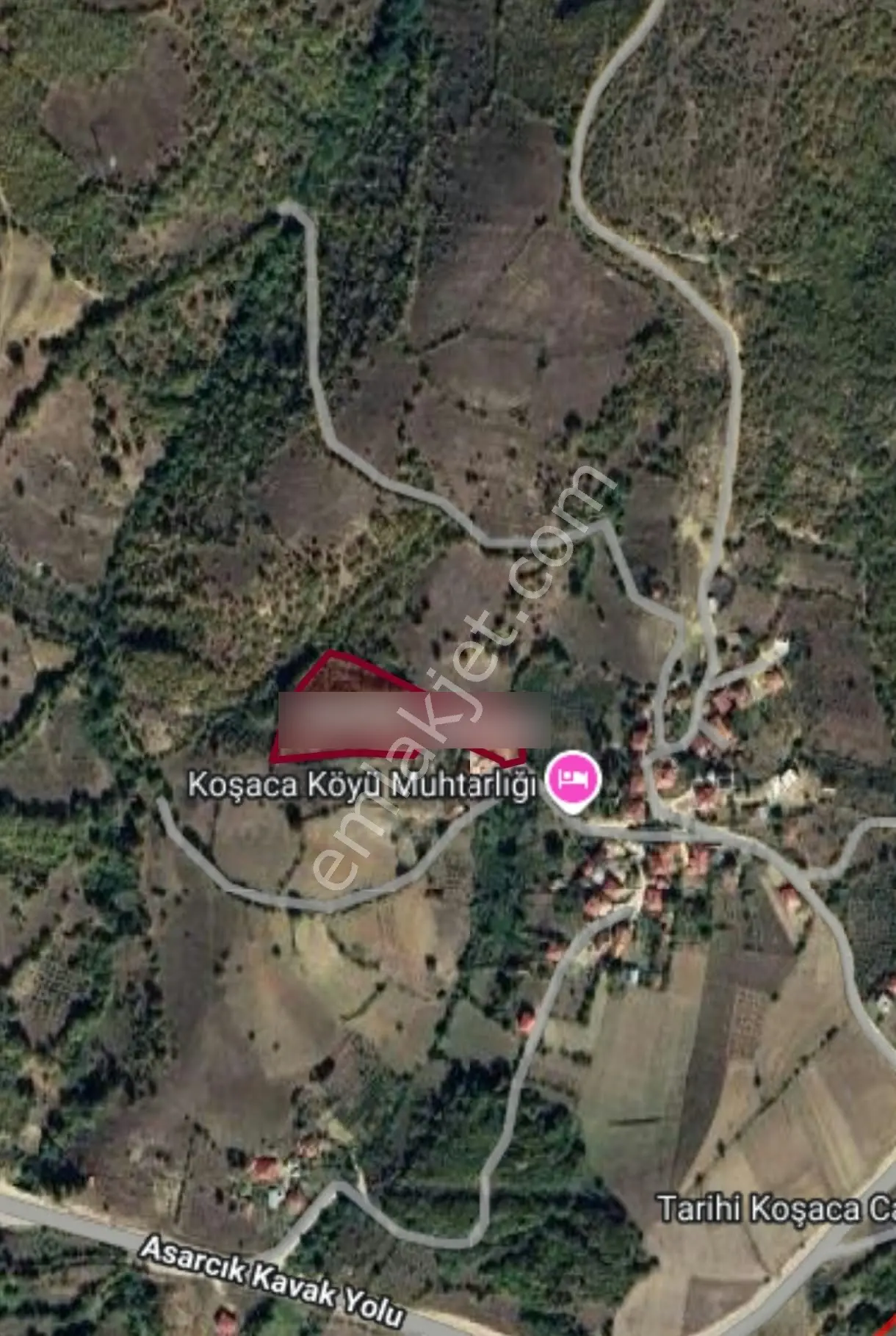 Truva/nazım Demirci'den Asarcık Koşaca Acil Satılık Fırsat Tarla — fotoğraf 2